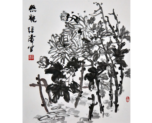 《无艳》菊-5