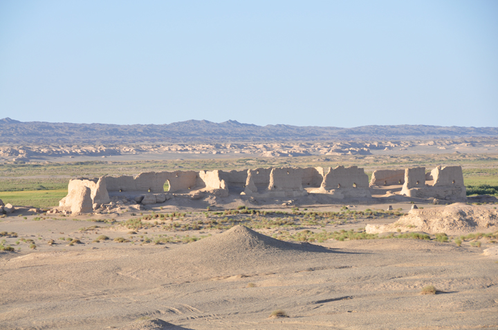 DSC_0428.jpg