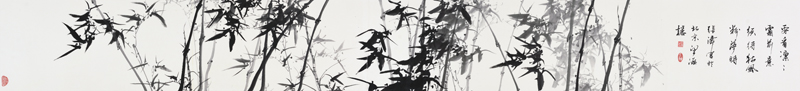 长卷竹.jpg