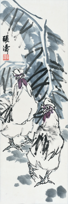 乌鸡.jpg