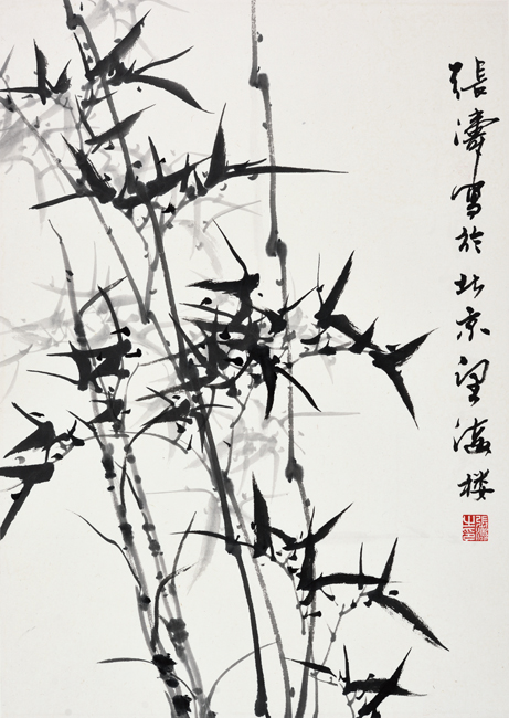 小丛竹.jpg