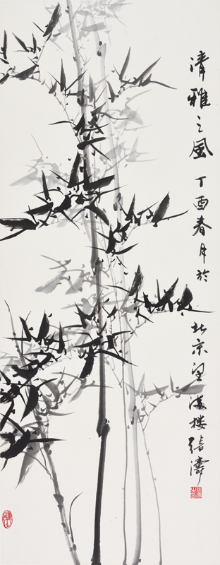 剑脊竹.jpg