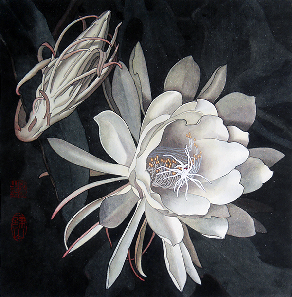《昙花一见月夜浓》