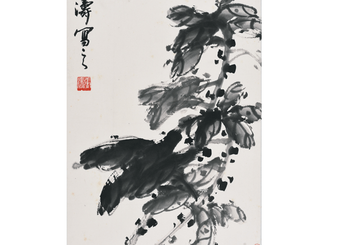 《雁来红》2