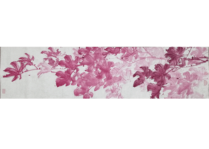 北美红枫艳阳天