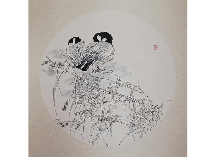 瓦斯卡纳雁双双
